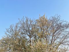 -盘龙城国家考古遗址公园