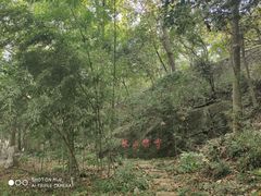 -南山风景名胜区