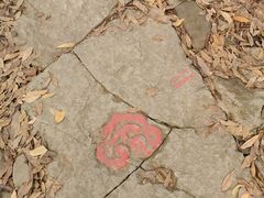 -西湖风景区十里琅珰-五云山