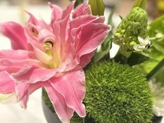 -觅唐MITONG(鸟巢店)