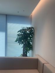 点击看大图 -BR光电保养