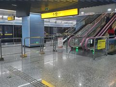 -大龙山(地铁站)