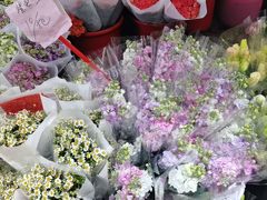 -循礼门鲜花花市(武汉循礼门店)