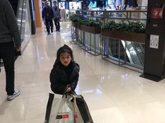 -新罗免税店(首尔总店)