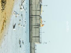 -大连老虎滩海洋公园