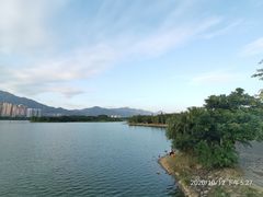 -飞来湖湿地公园