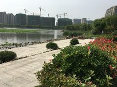 景点-南翔镇银翔湖公园