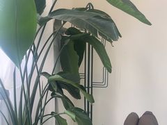 -汇盈·棋牌会所