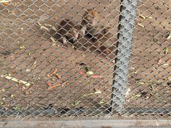 -长白岛森林公园