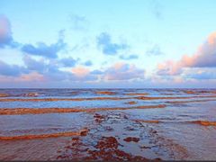 -盐城丹顶鹤湿地生态旅游区