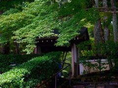 -三千院