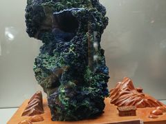 -甘肃地质博物馆