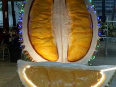 -都念榴莲·城市榴莲