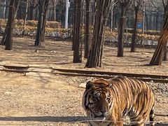 -秦皇岛野生动物园