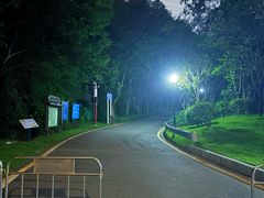 -小南山公园