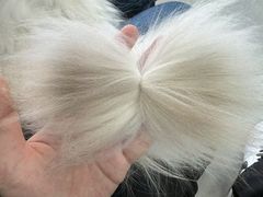 -中农大我爱我爱动物医院·核磁CT·猫病·24小时夜诊中心(石佛营店)