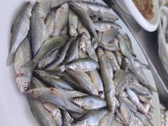 -巢湖名吃·徽府农家菜(半汤店)