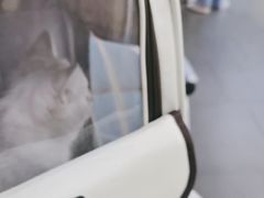 -联合动物医院(光谷诊疗中心)