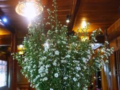 -Lam Vien Restaurant