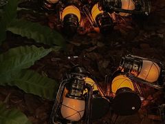 -J Create城市露营咖啡·简餐·宠物(上海动物园店)