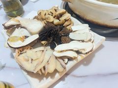 -蘑统田下·野生菌火锅