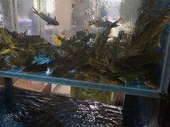 -简奥斯汀·赫本酒吧