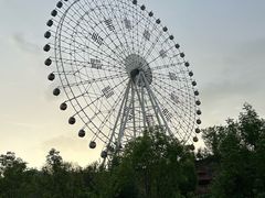 -特克斯八卦城