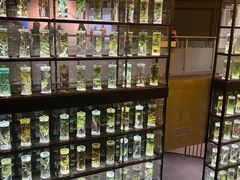 -广东中医药博物馆