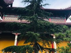 -九华山风景区月身宝殿