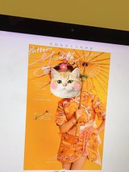 -花开映像儿童摄影