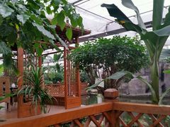 -汤山翠谷生态餐厅