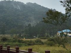 -海南热带雨林国家公园吊罗山景区