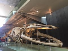 -墨尔本博物馆(Melbourne Museum)