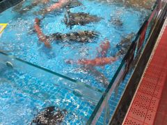 -苏先生海鲜渔庄(金桥店)