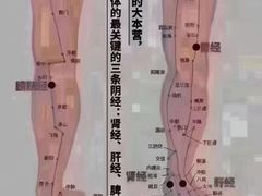 -见康道莱•足浴按摩•艾灸•SPA(友谊店)