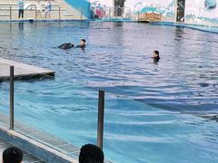 -北戴河圣蓝海洋公园