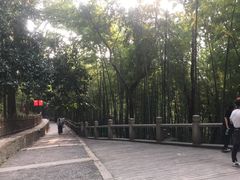 -灵岩山风景区