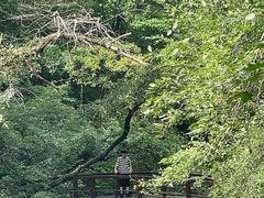 -本溪老边沟风景区