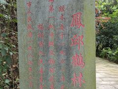 -牛岗山公园