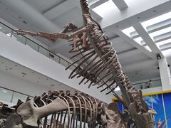 -中国地质大学逸夫博物馆