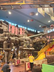 -卡通尼·Safari非洲探索乐园·生日会(金桥国际商业广场店)