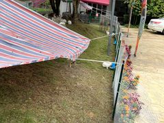 -洪湖家庭农场·团建·露营·会议