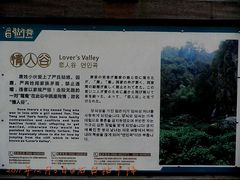 -祁门牯牛降观音堂风景区