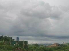 -金苑海鲜酒家(来魅力店)