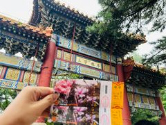 -潭柘寺景区