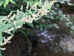 -天目山-昭明禅寺