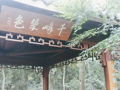 -杭州半山国家森林公园