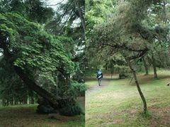 -杭州植物园