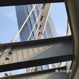 美丽的海河