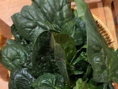 -巴奴毛肚火锅(龙湖锦艺城店)